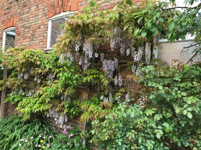 The Old Bookbinders Retreat
