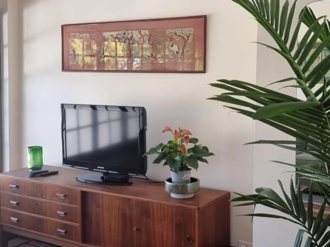 5 Seasons Guesthouse