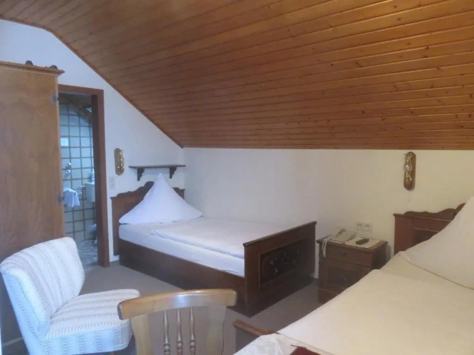 Standard Double room with mountain view