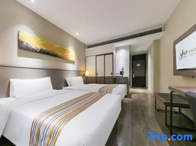Standard Double Family room