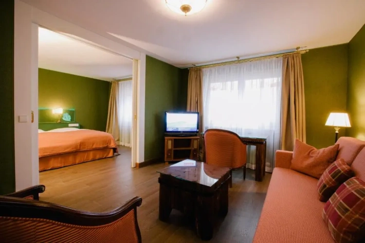 1 Bedroom Suite