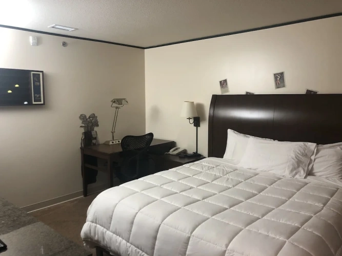 Classic Single room