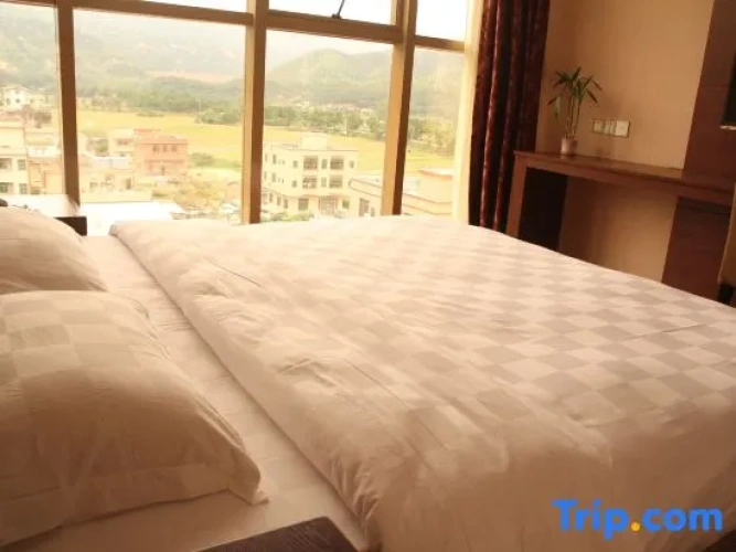 Comfort Suite