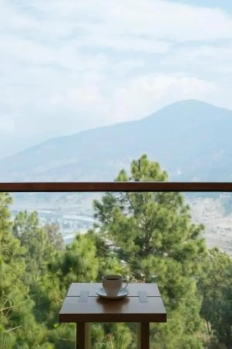 Deluxe Twin room with view