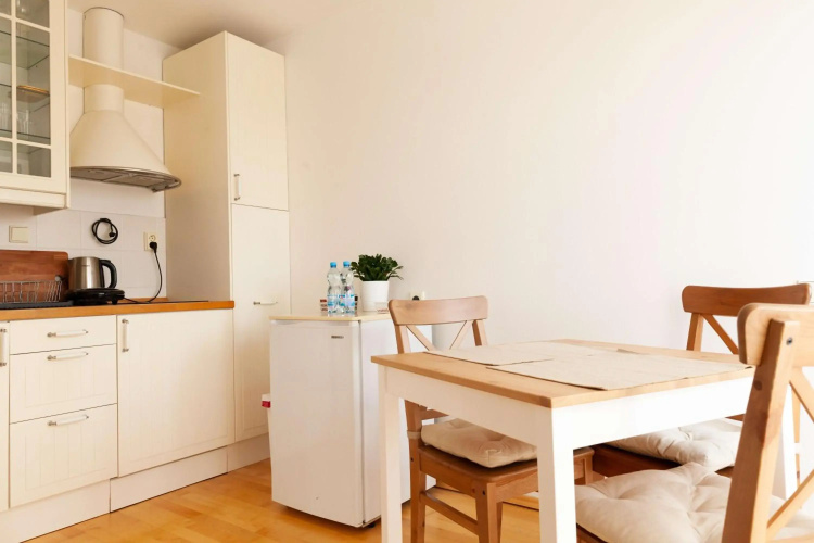 Vitkov Park Apartment