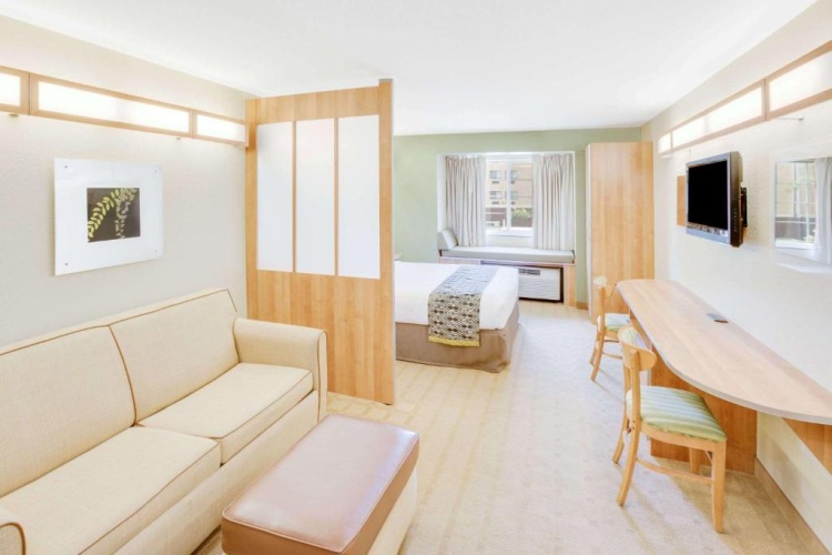 1 Bedroom Suite