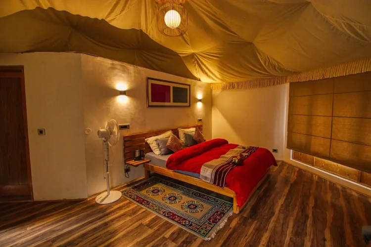 Chalet Seabuckthorn