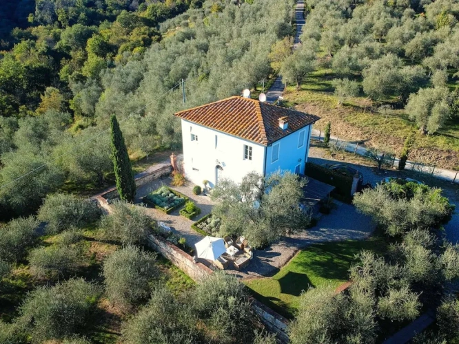 Cottage