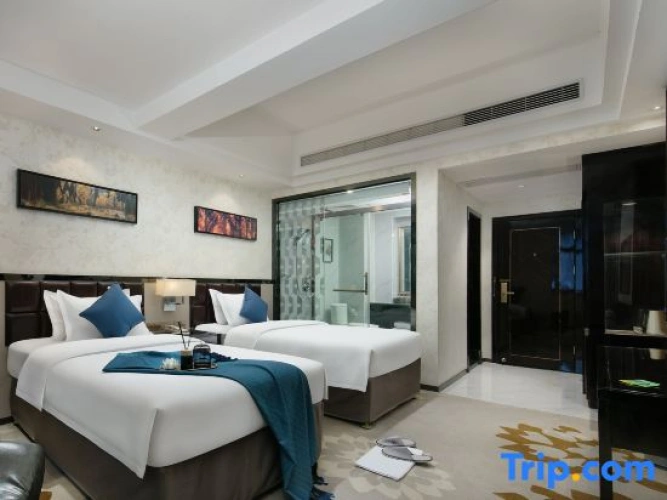 Standard Twin room with street view