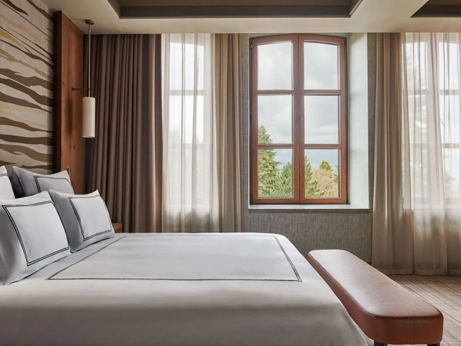 Swiss Deluxe Double room with forest view