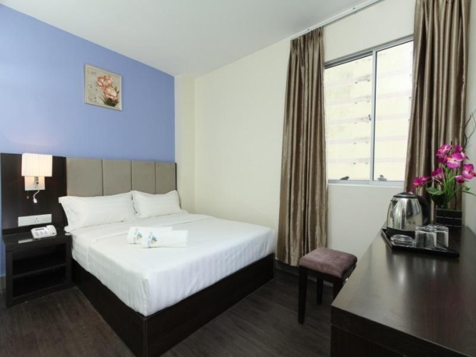 Superior Single room with view