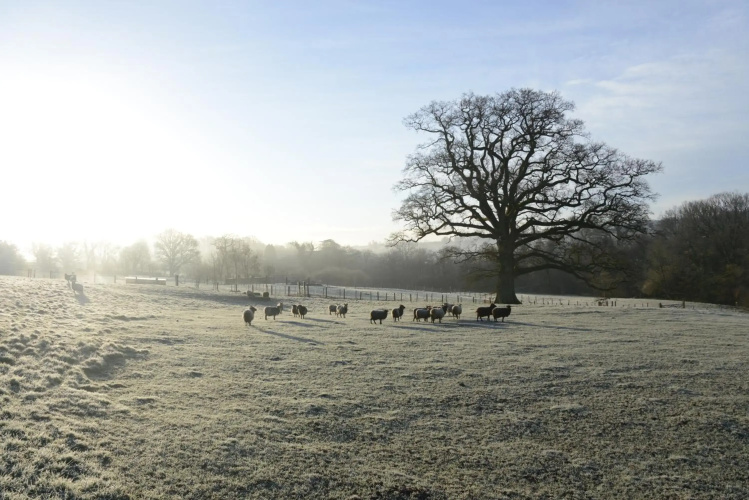 Upper Vobster Farm