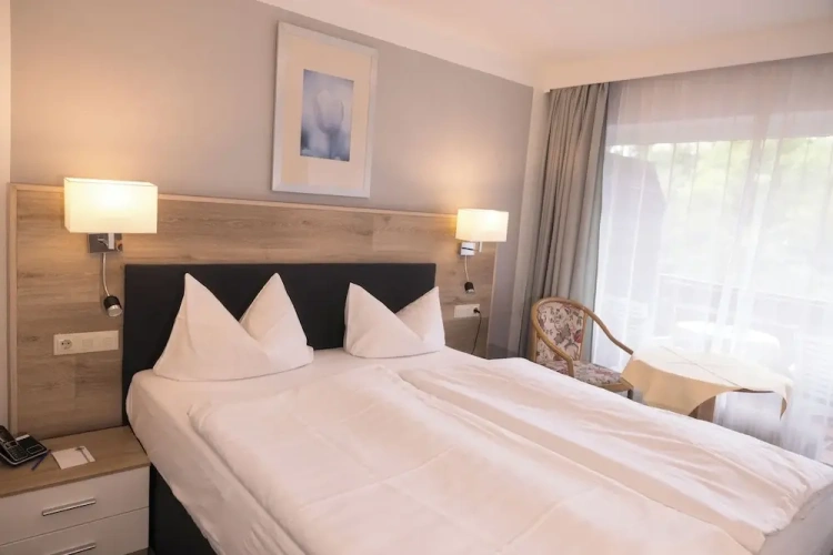 Economy Double room with balcony and with mountain view