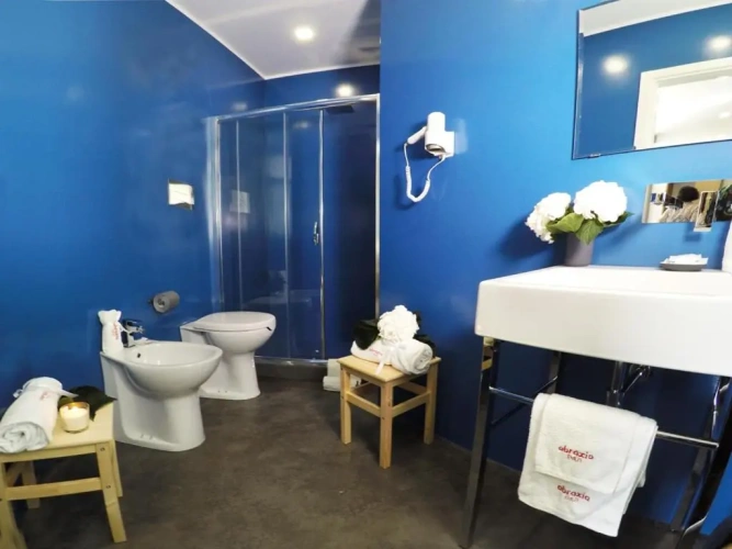 Deluxe Single room with view