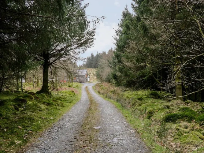 Cottage