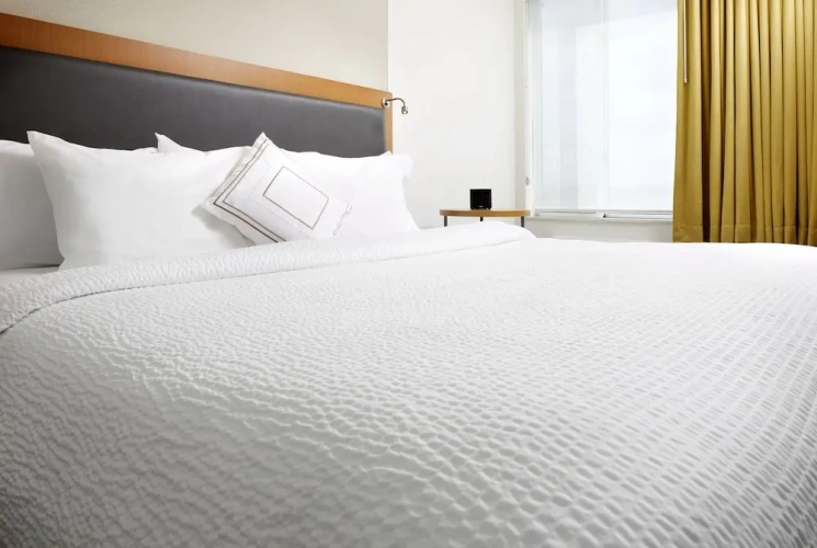 1 Bedroom Suite