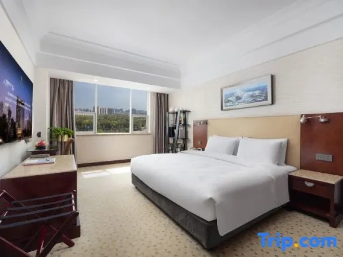 Executive Double Suite