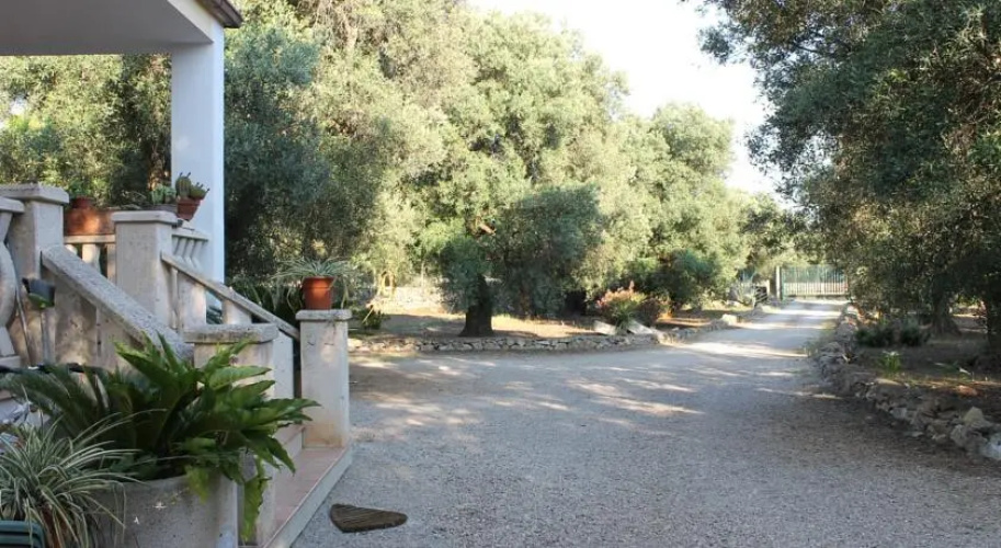 B&B Contrada Monaci