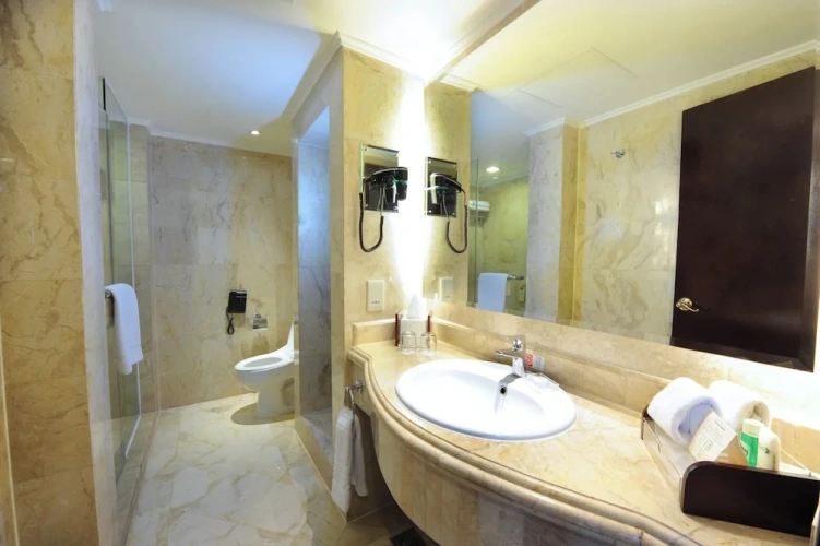 Double Junior Suite with city view