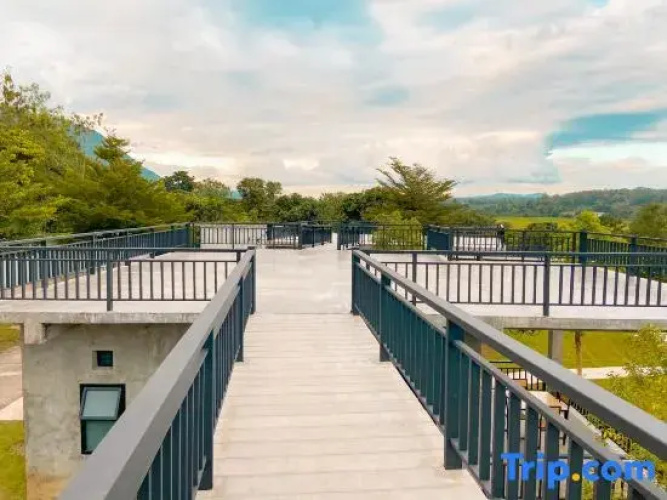 Black Bears resort and onsen