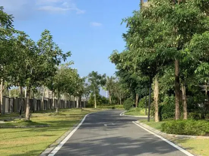 Yixia Holiday Hostel