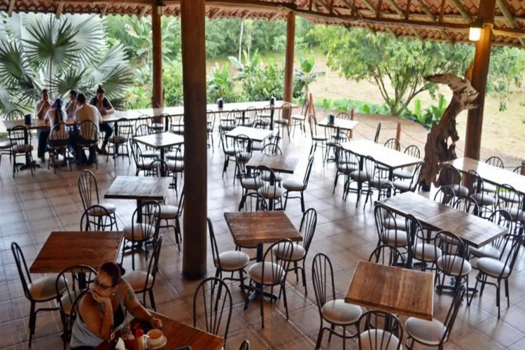 Hotel del Bosque