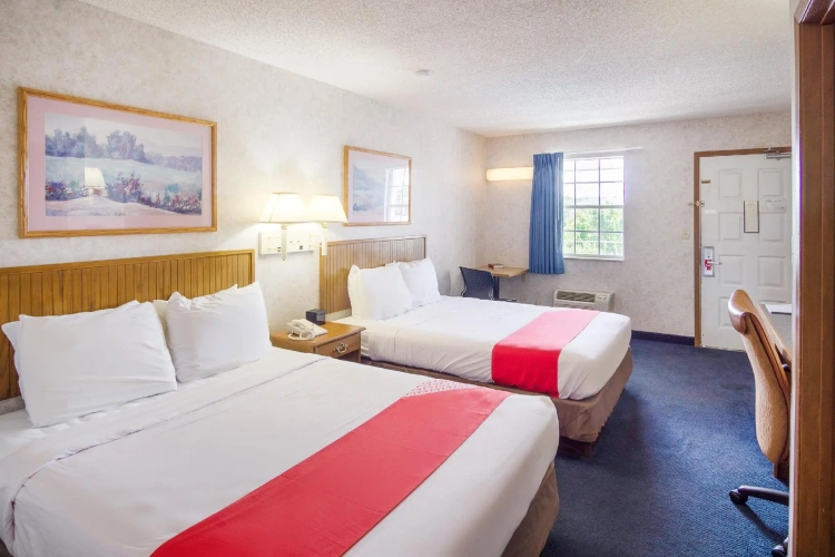 Premium Quadruple room