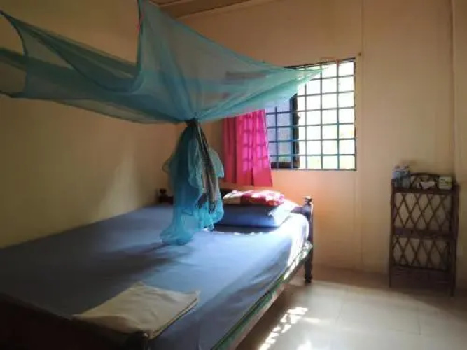 Pangolin Guesthouse
