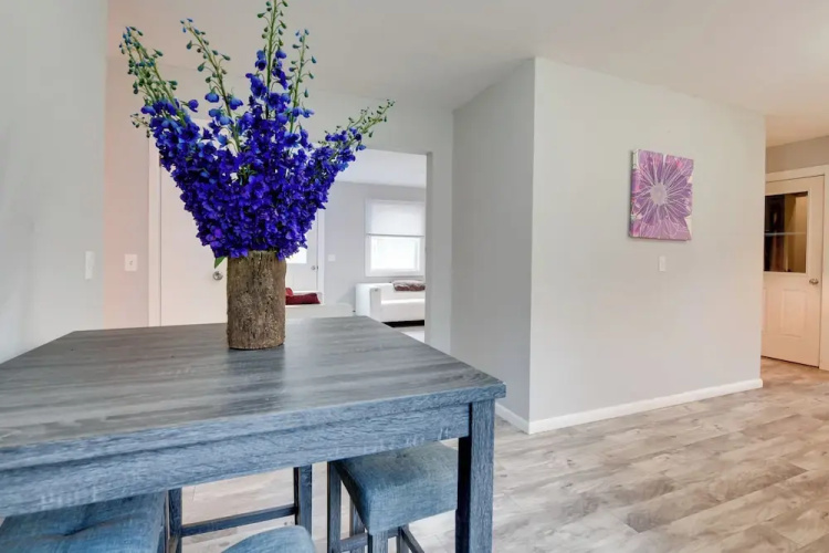 Ski, Hike & Explore: Home 5 Mi to Dtwn Burlington!