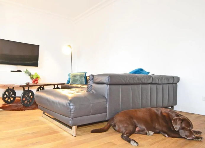 Hohe Buchen Apartment 2