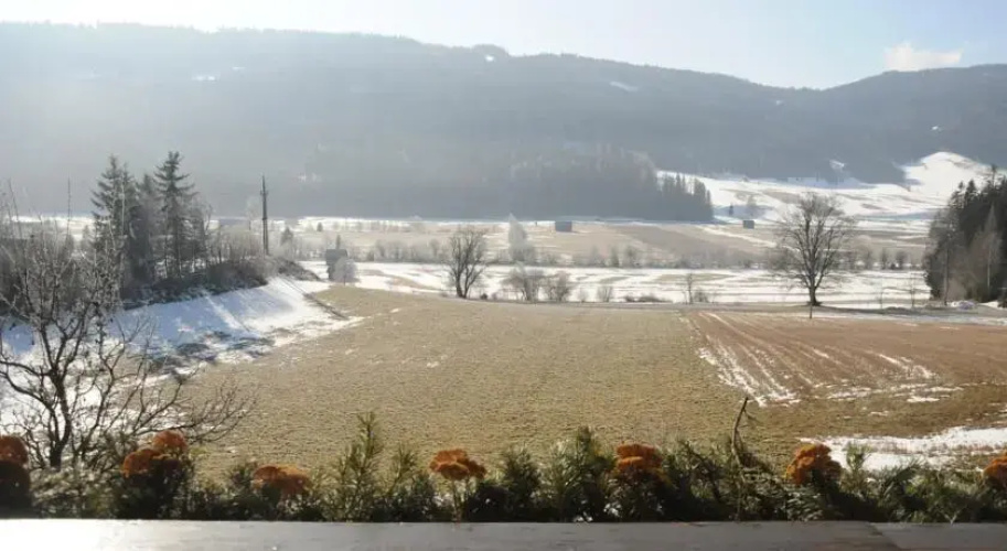 Haus Pension Dorfer