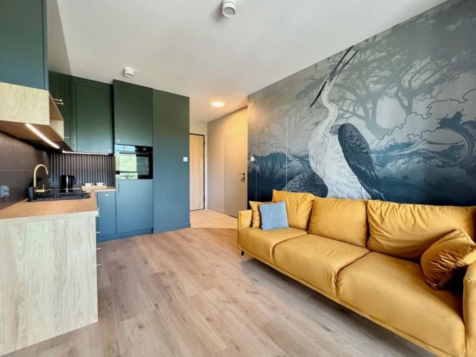 Comfort Suite