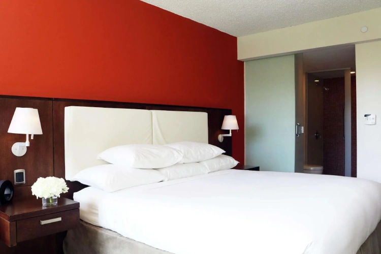 Standard Double room with garden view