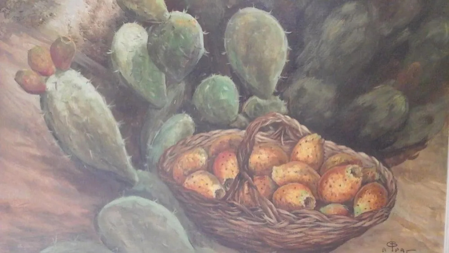 Sofia Areopoli