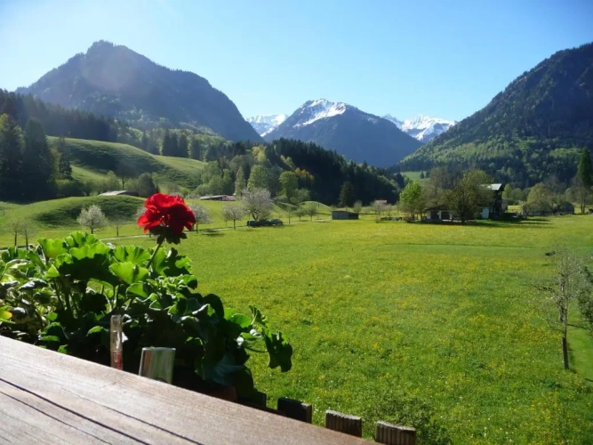 Double Apartment with mountain view