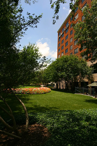 Embassy Suites by Hilton Dallas Love Field photo 28