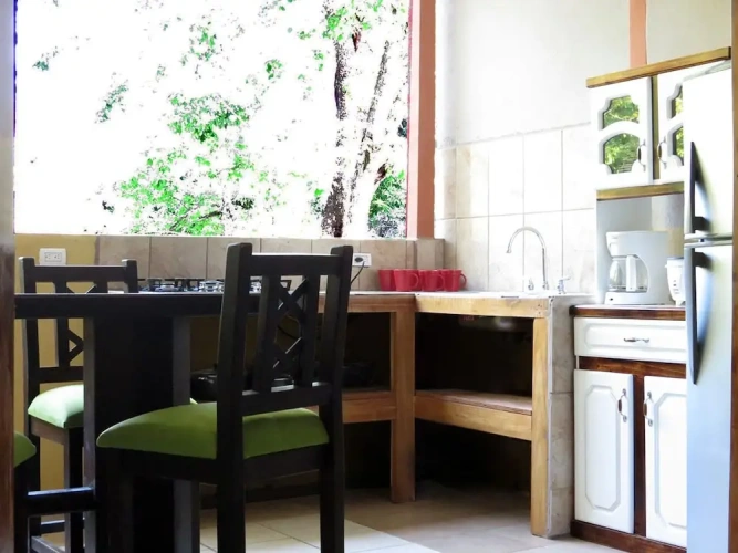 1 Bedroom Standard Apartment