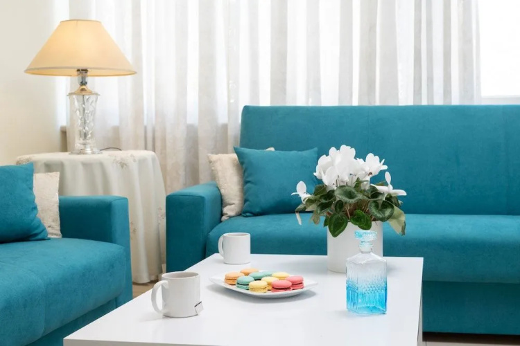 Elegant Harbour Apartment