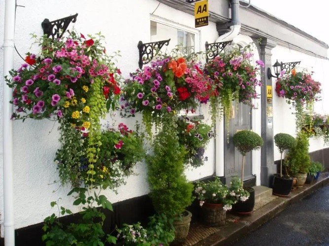 3 Bedrooms Cottage