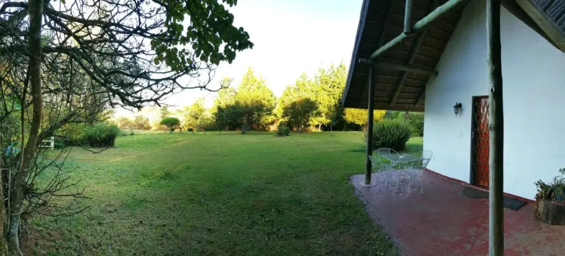 Wild Forest Inn