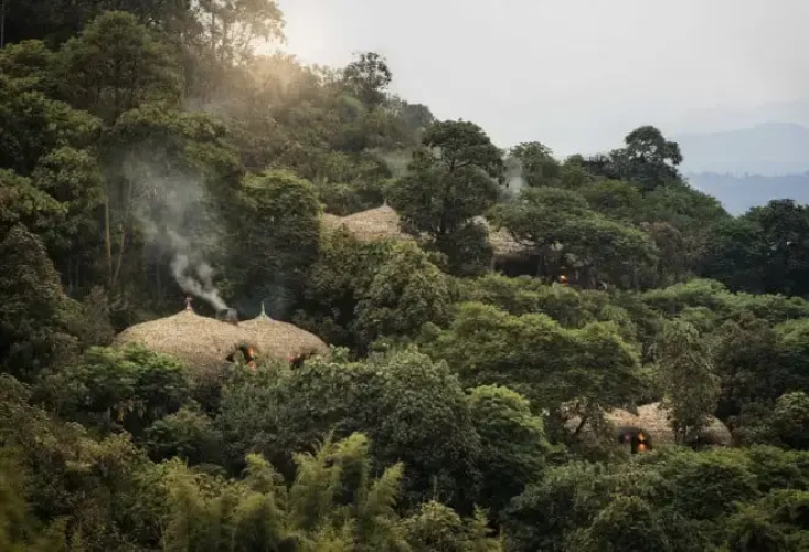 Wilderness Bisate