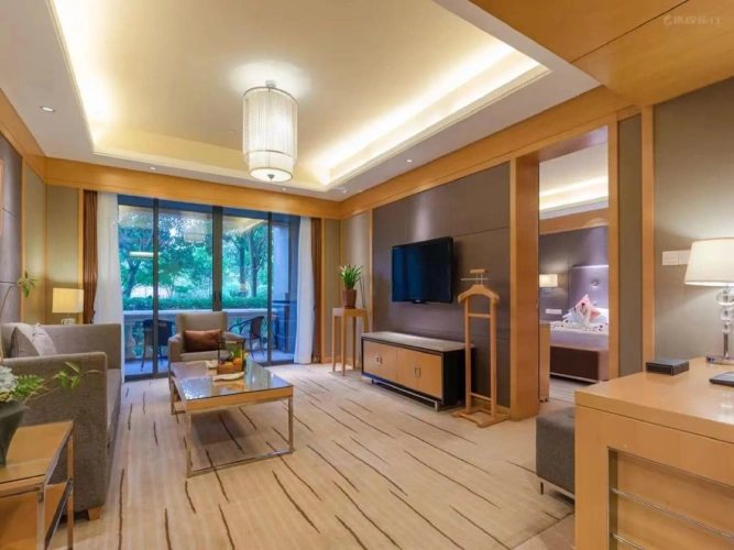 Business Suite with balcony and with view