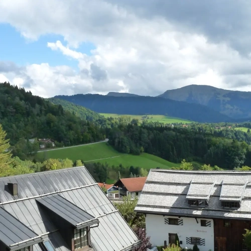 Deluxe Double room with balcony and with mountain view