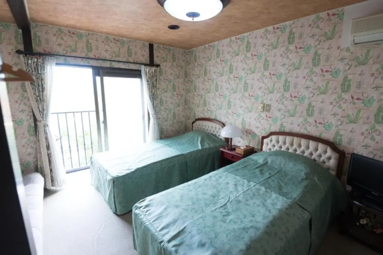 Superior Twin room with view