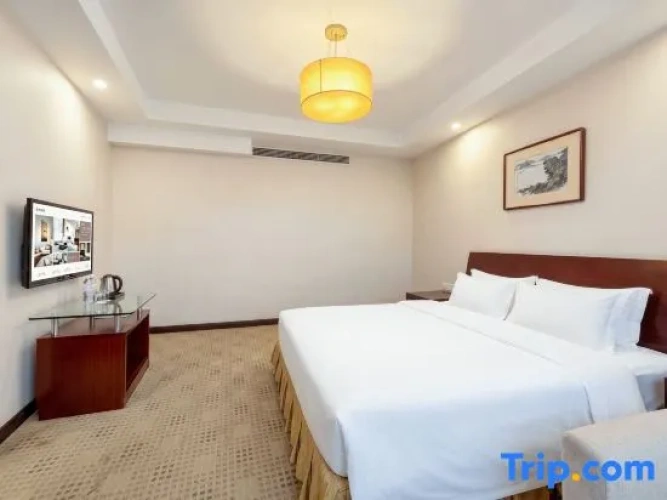 Comfort Suite