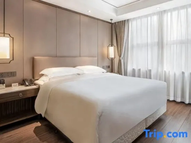 Superior Double Suite