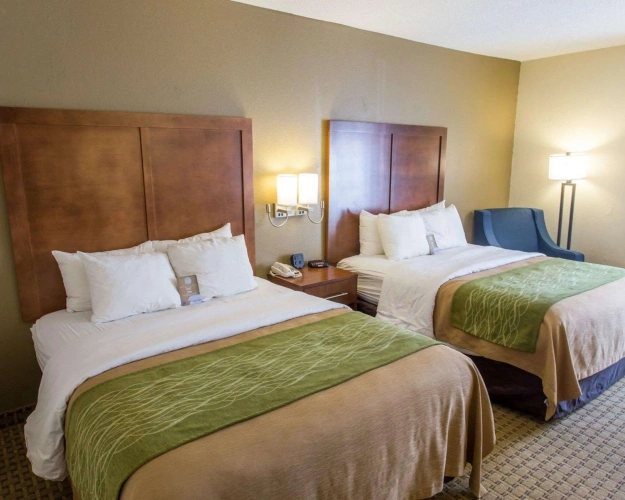Standard Quadruple room