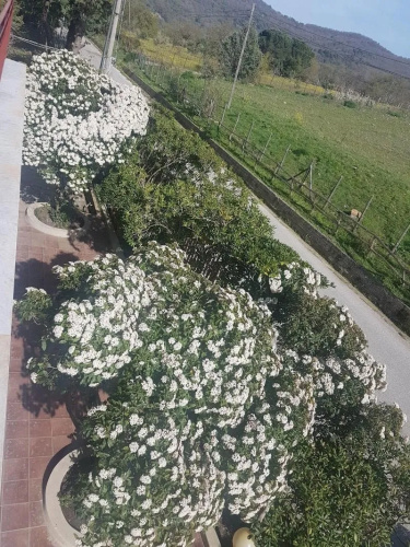 Al Bosco Ficuzza
