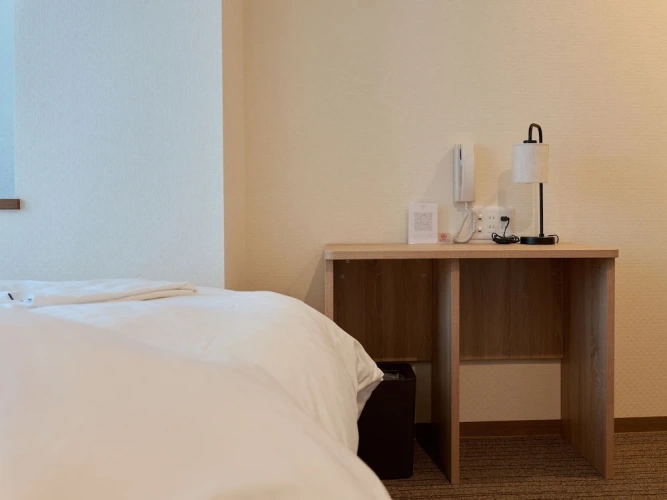 Standard Twin room with city view