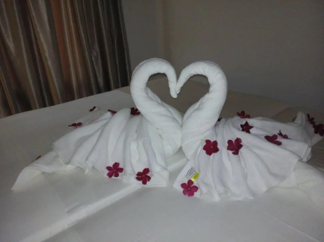 Deluxe Twin room with balcony and with view